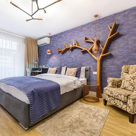 Ara Apart Hotel #3 Брашов Экстерьер фото